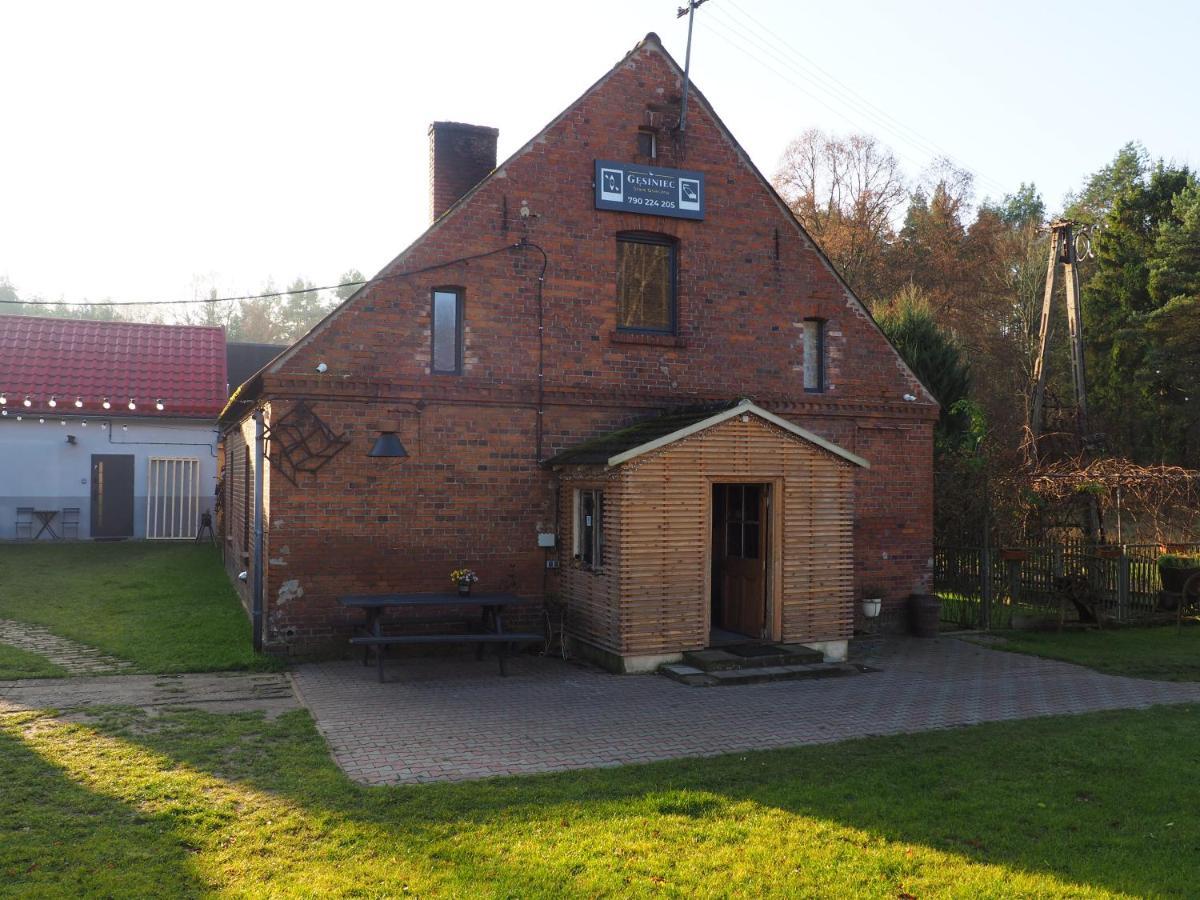 Agroturystyka Gesiniec Stare Osieczno ภายนอก รูปภาพ