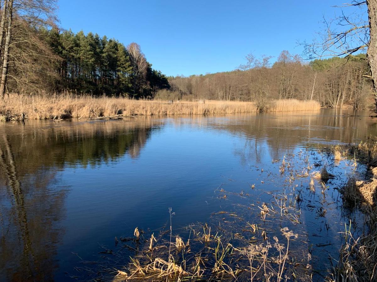 Agroturystyka Gesiniec Stare Osieczno ภายนอก รูปภาพ