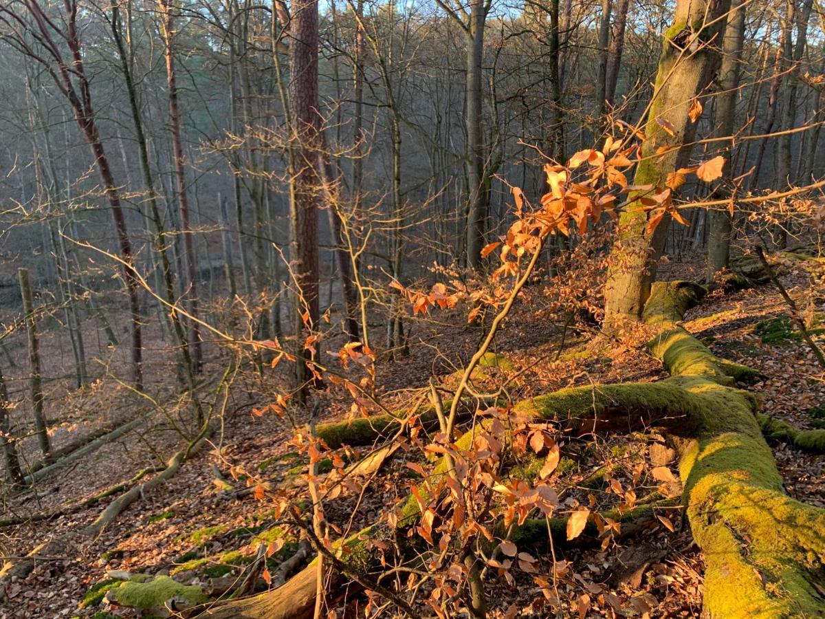 Agroturystyka Gesiniec Stare Osieczno ภายนอก รูปภาพ