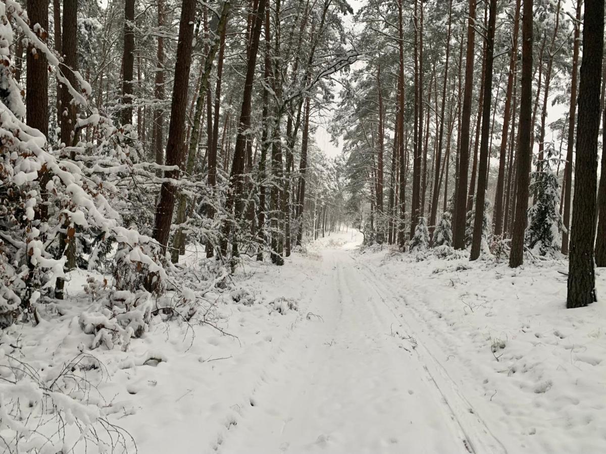 Agroturystyka Gesiniec Stare Osieczno ภายนอก รูปภาพ