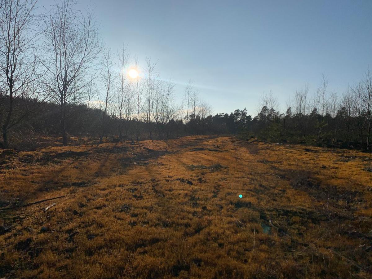 Agroturystyka Gesiniec Stare Osieczno ภายนอก รูปภาพ