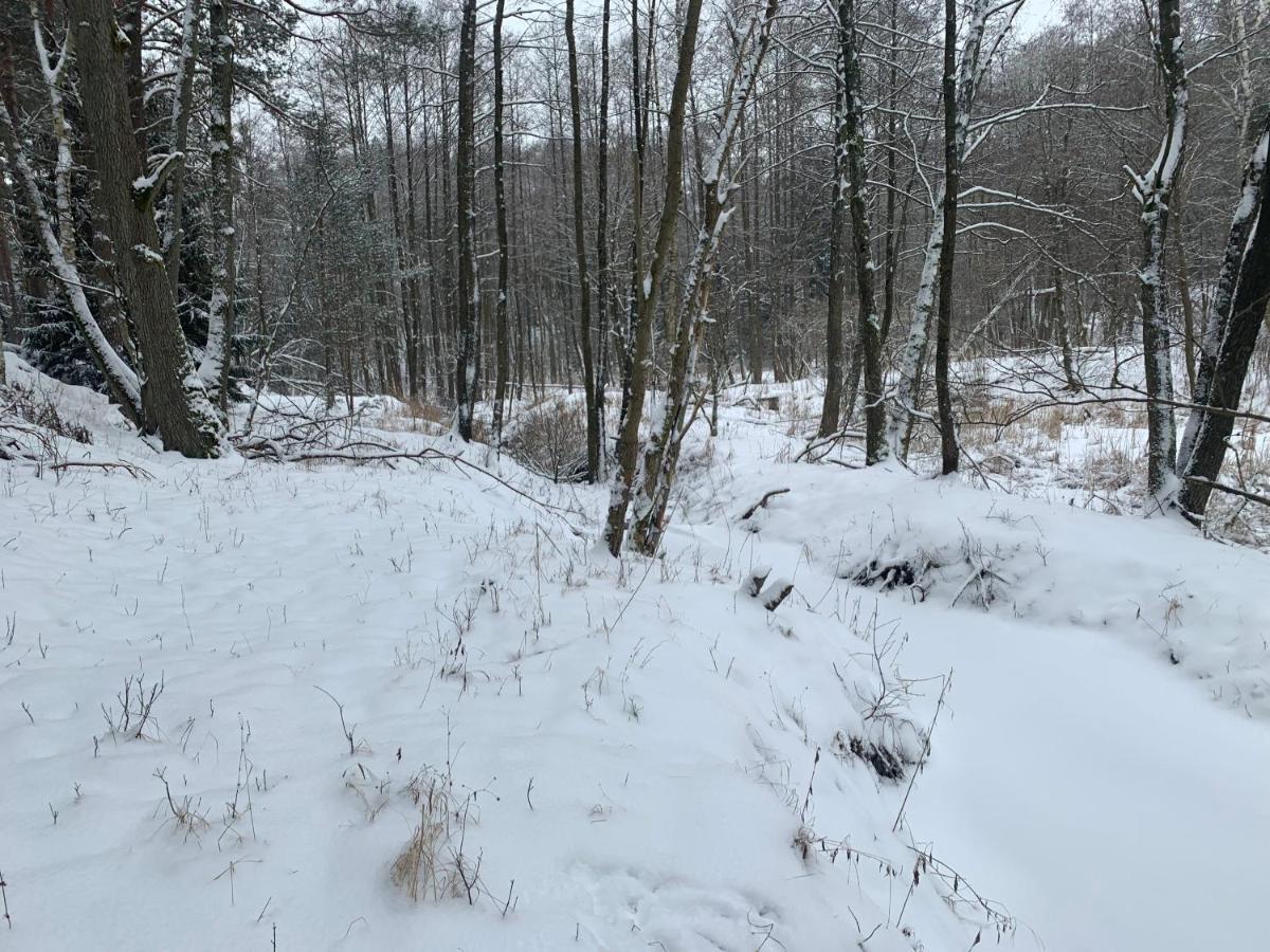 Agroturystyka Gesiniec Stare Osieczno ภายนอก รูปภาพ