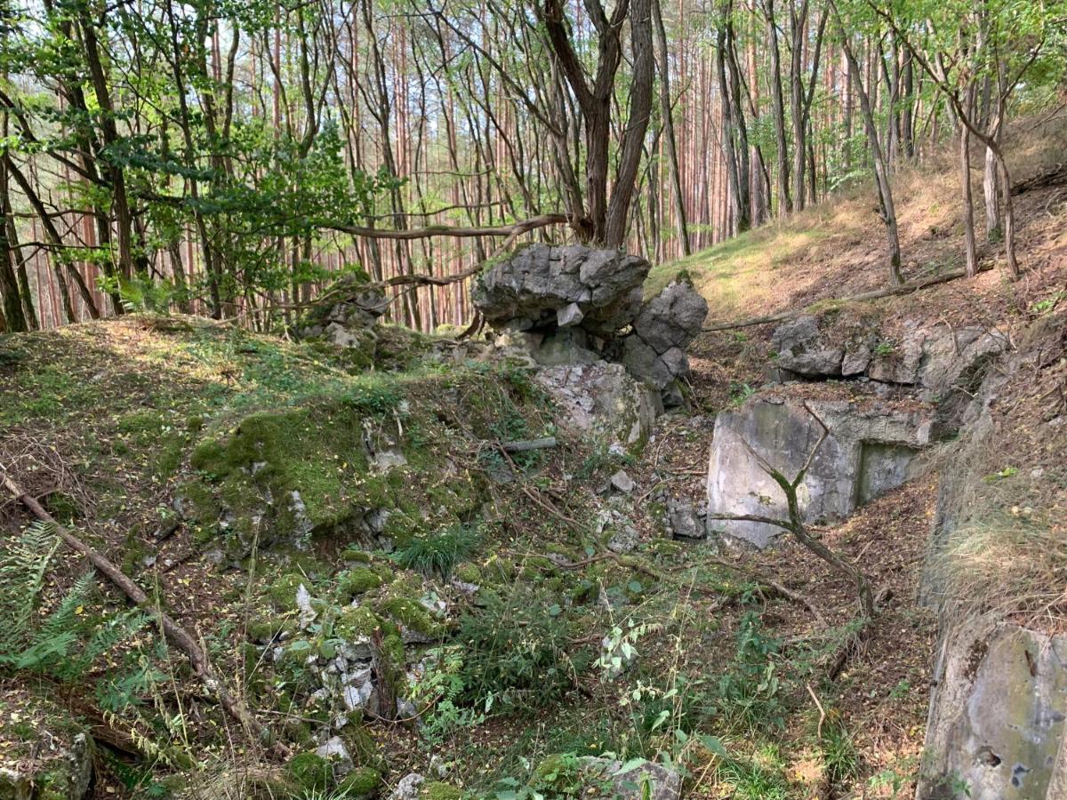 Agroturystyka Gesiniec Stare Osieczno ภายนอก รูปภาพ