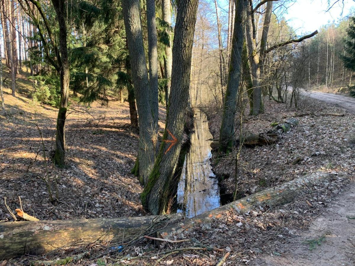 Agroturystyka Gesiniec Stare Osieczno ภายนอก รูปภาพ