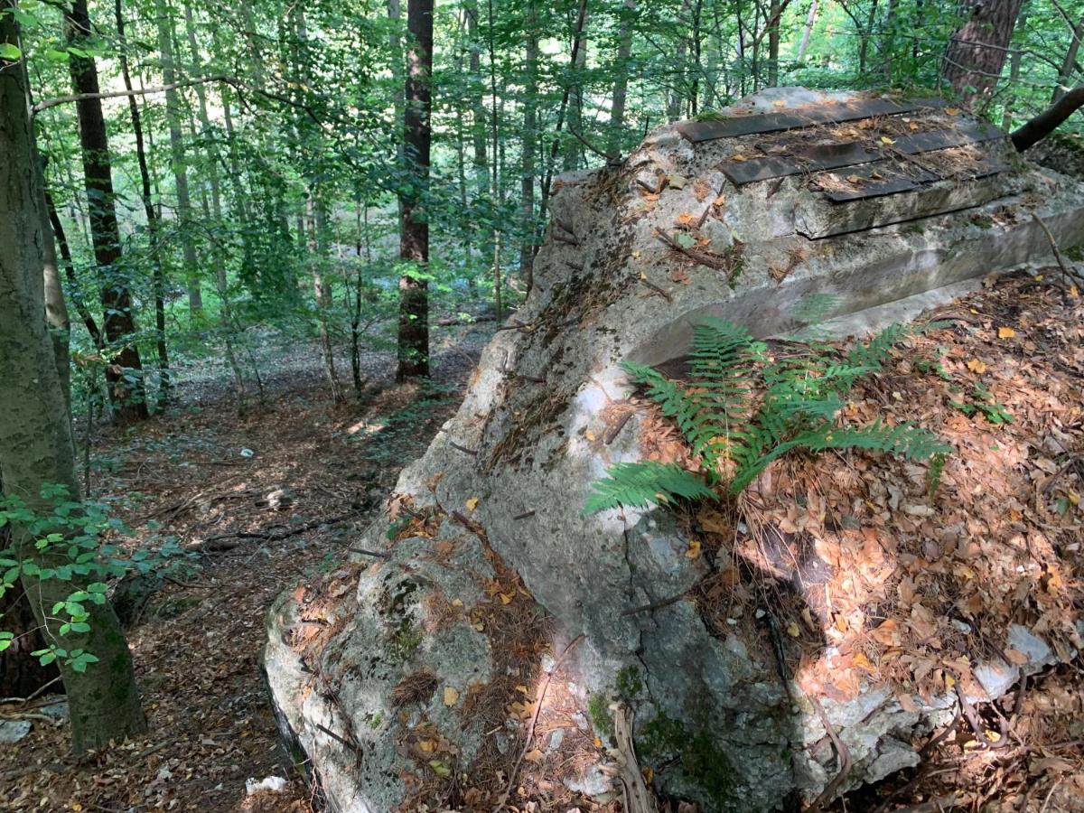 Agroturystyka Gesiniec Stare Osieczno ภายนอก รูปภาพ