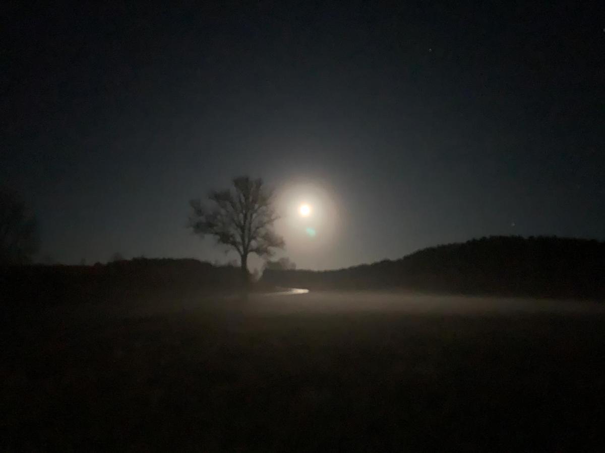 Agroturystyka Gesiniec Stare Osieczno ภายนอก รูปภาพ