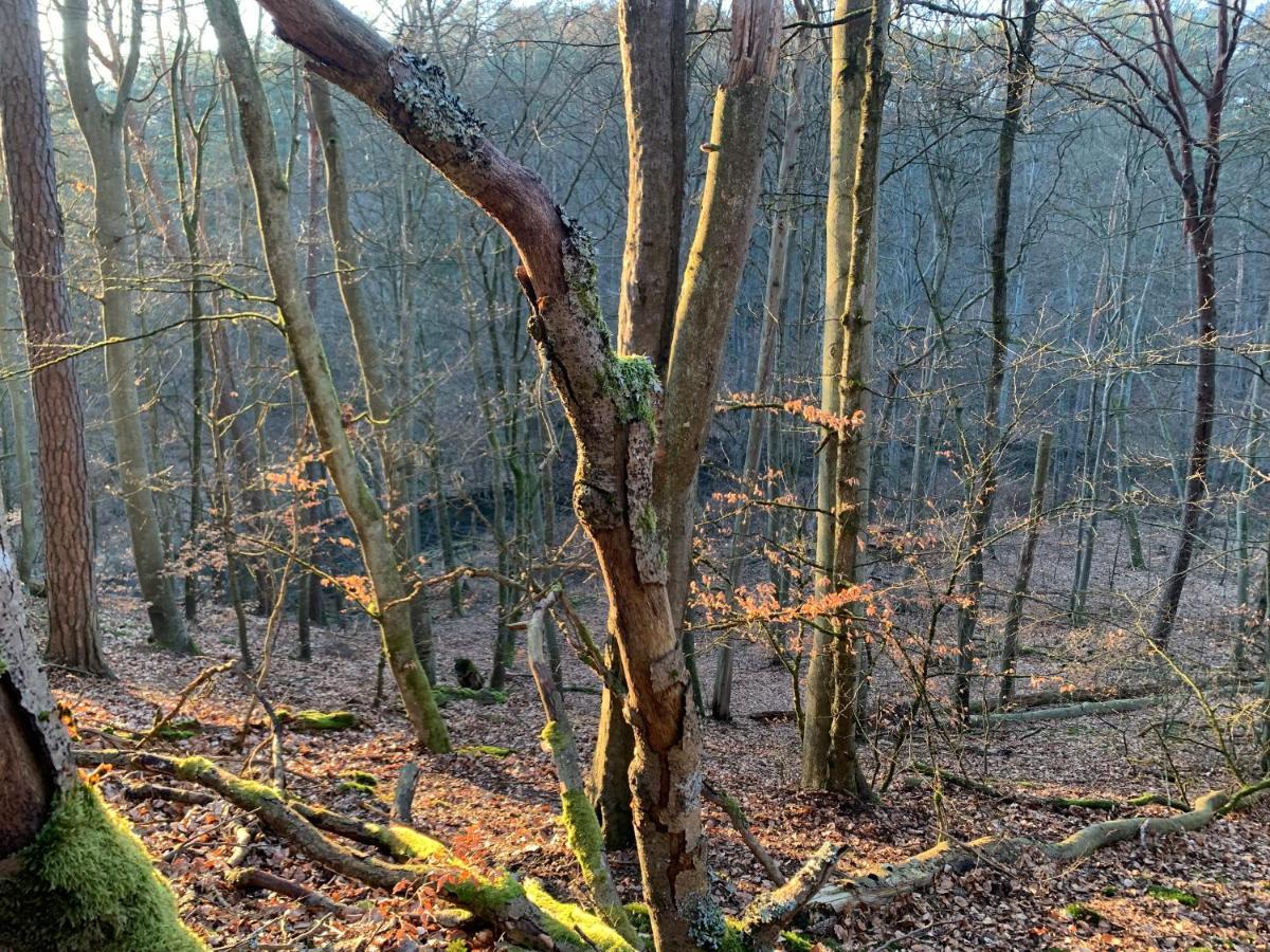Agroturystyka Gesiniec Stare Osieczno ภายนอก รูปภาพ